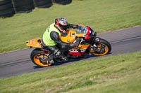 Lower Group Orange Bikes